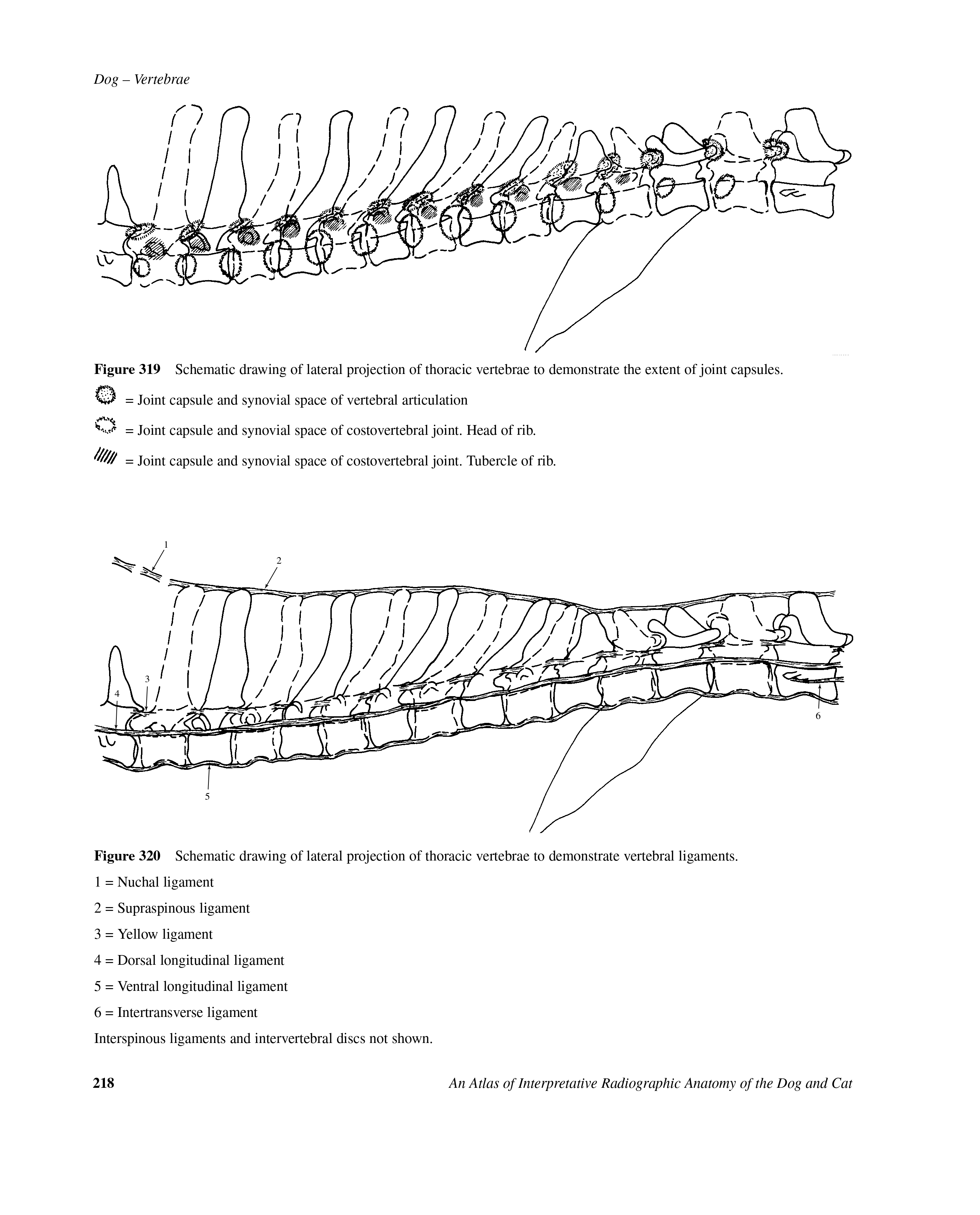 Medical book in English for translation into Russian