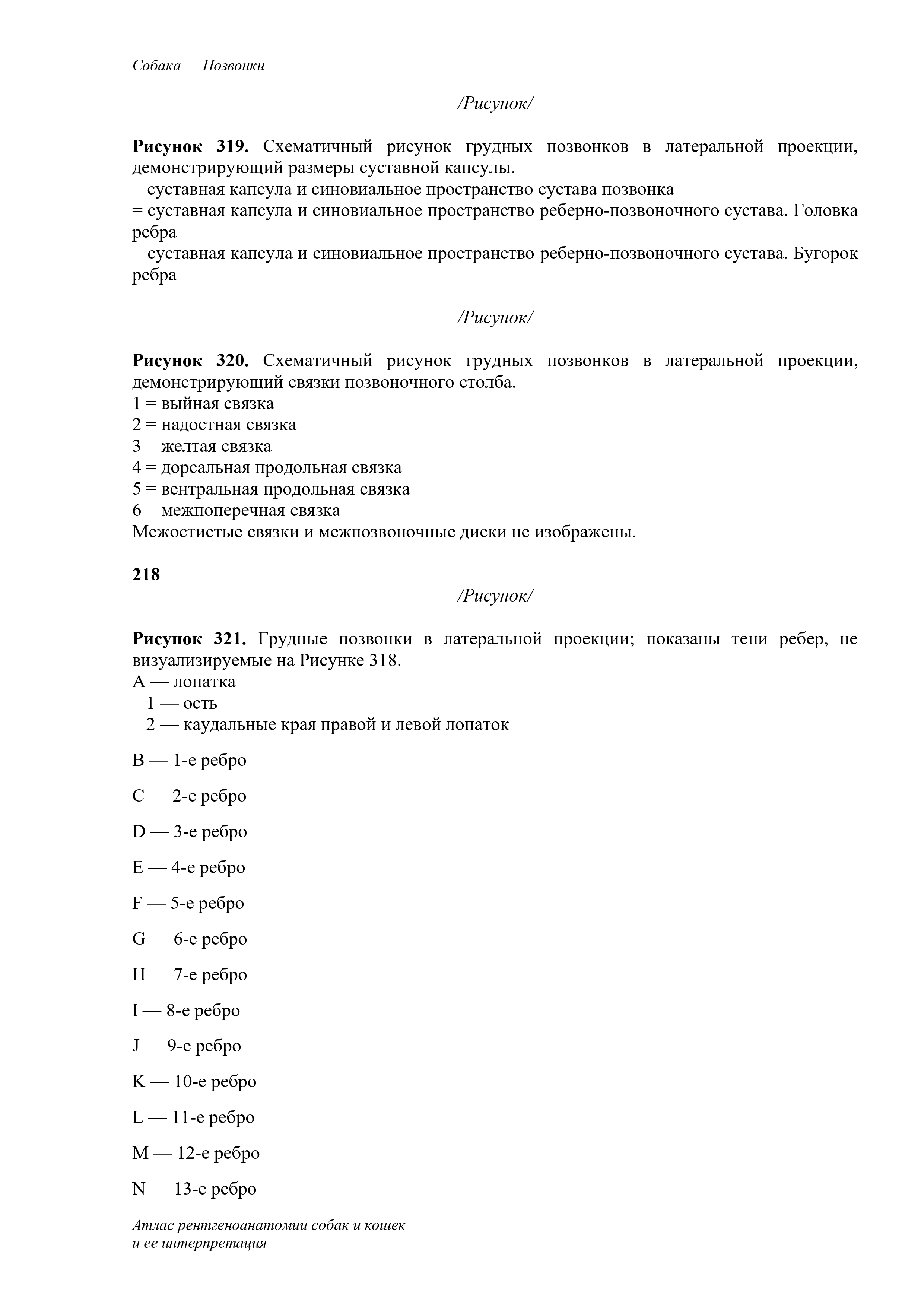 Medical book translated into Russian with basic formatting